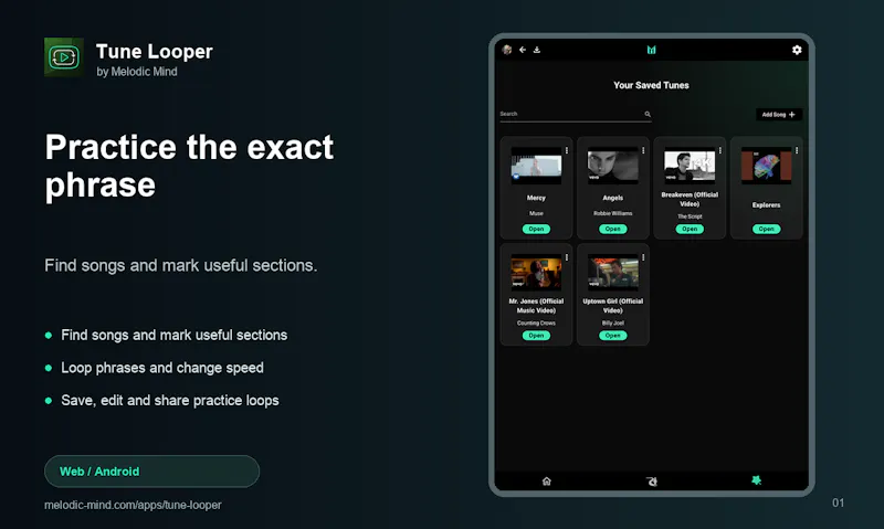 Tune Looper screenshot 1
