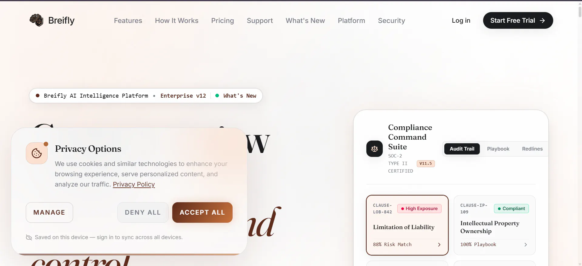 Breifly AI 截图 5