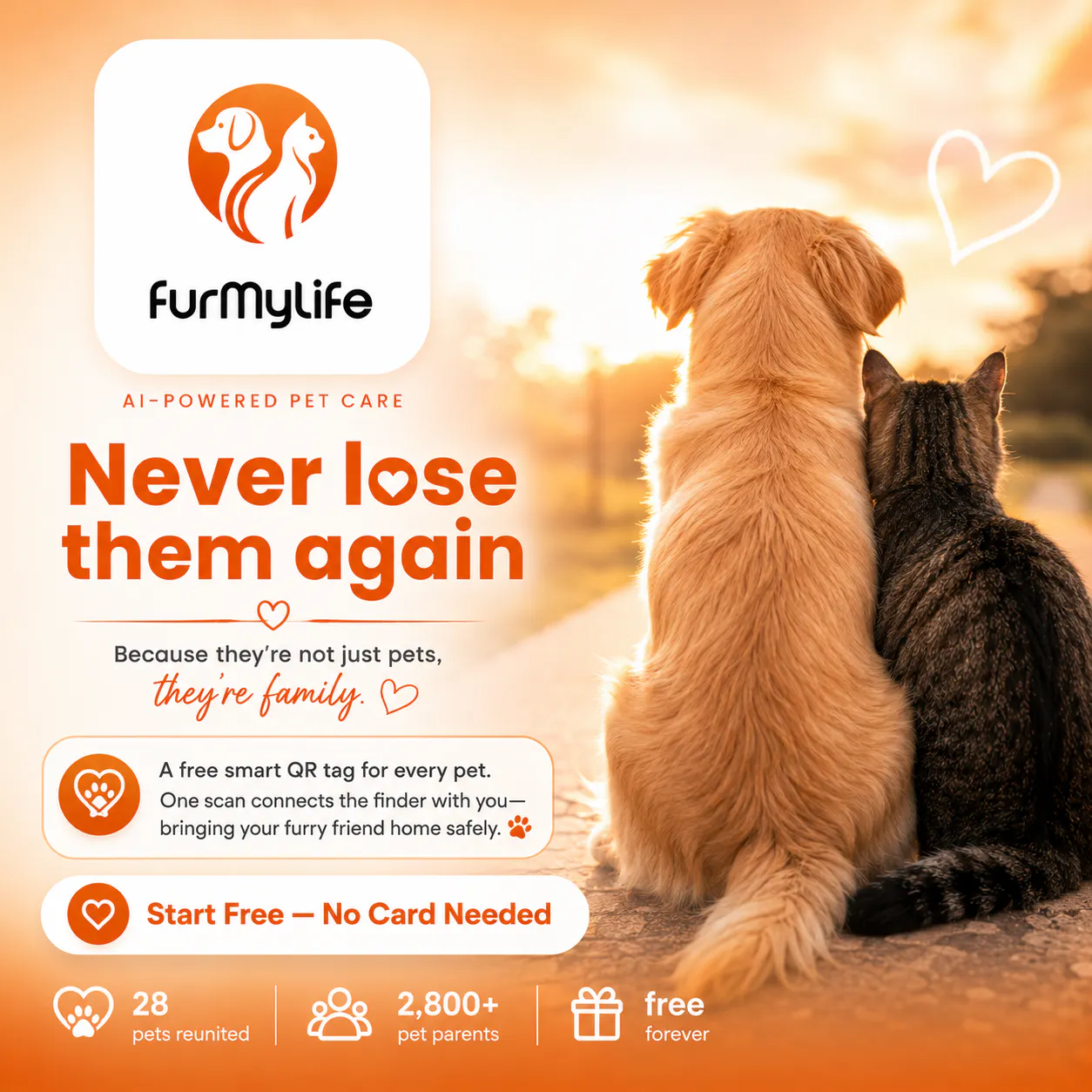 FurMyLife gallery image