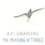 The Meaning of Things