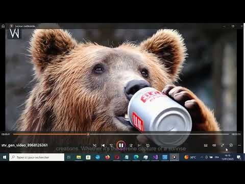 Easy Video generator gallery image