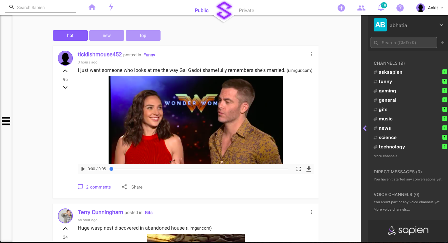 Sapien gallery image