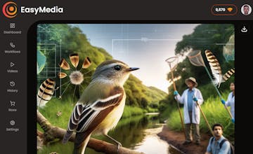 EasyMedia gallery image