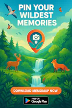 MEMOMAP gallery image