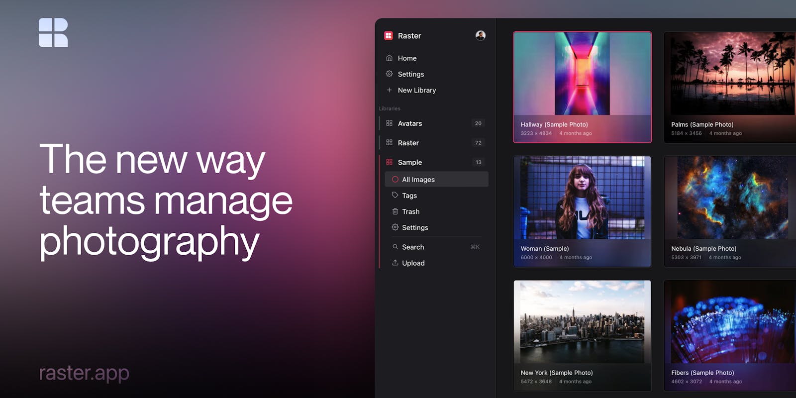 Raster - Product Information, Latest Updates, and Reviews 2024 ...