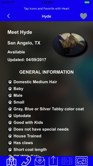 Feline Finder gallery image