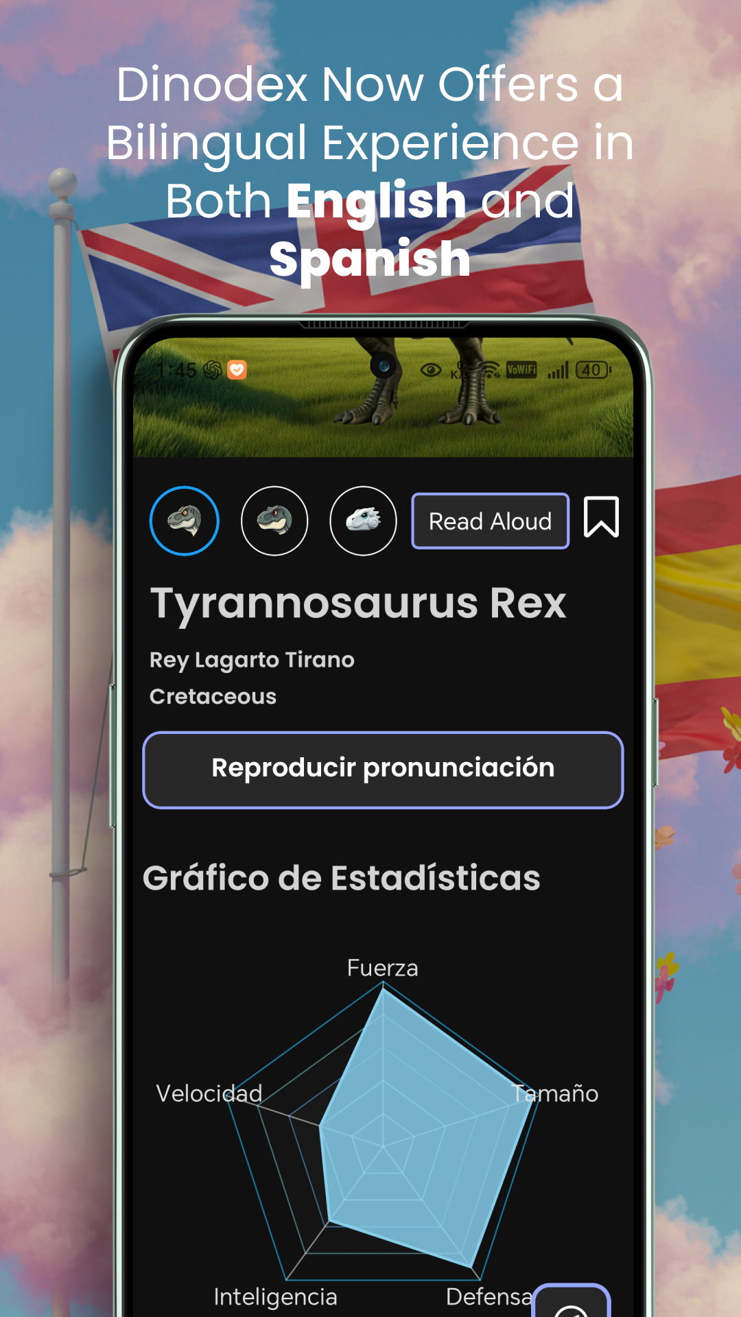 Dinodex gallery image