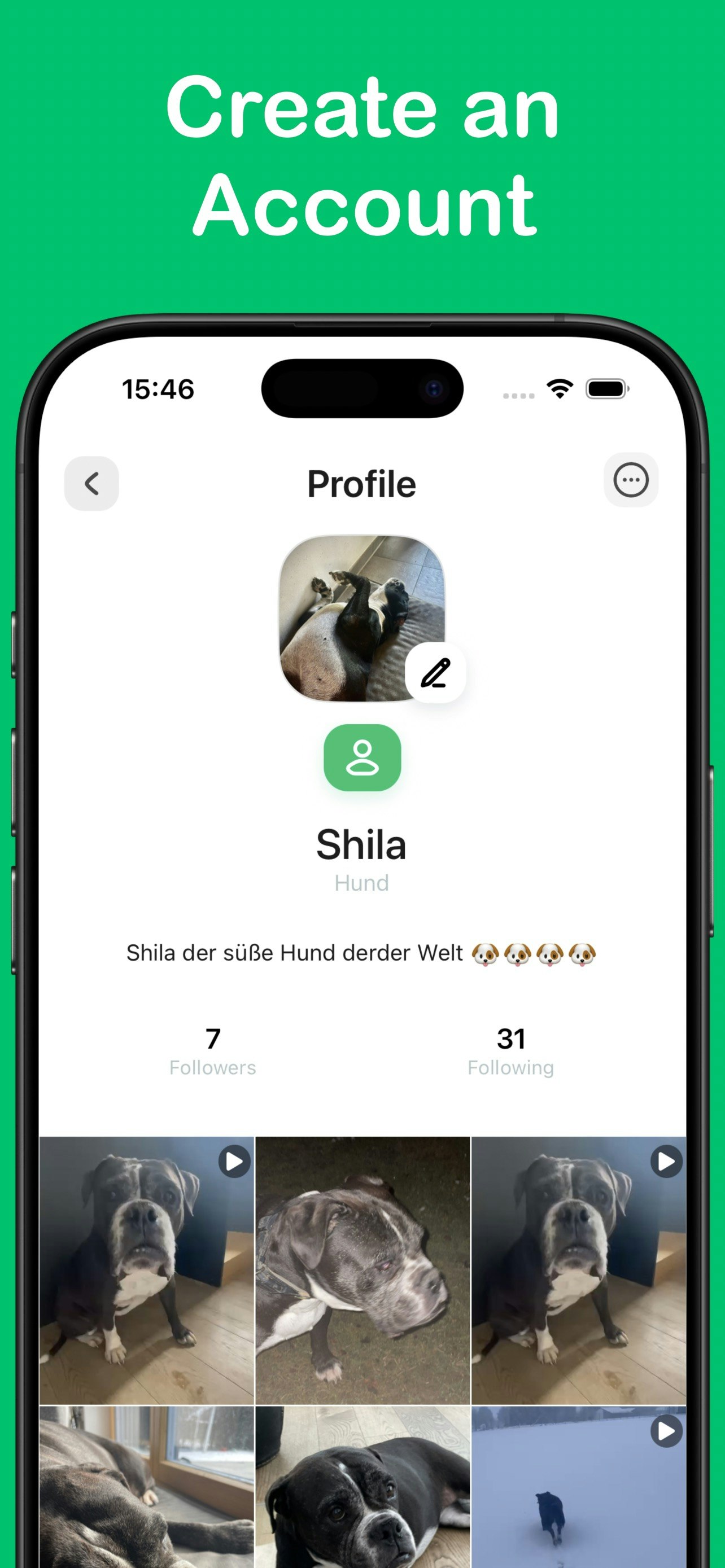 PetCam gallery image