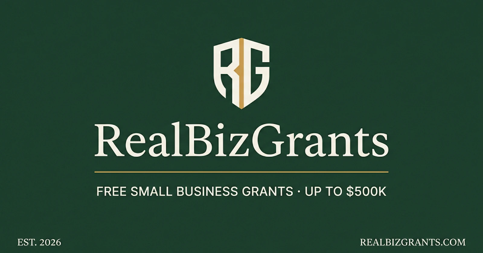 RealBizGrants™ screenshot 2