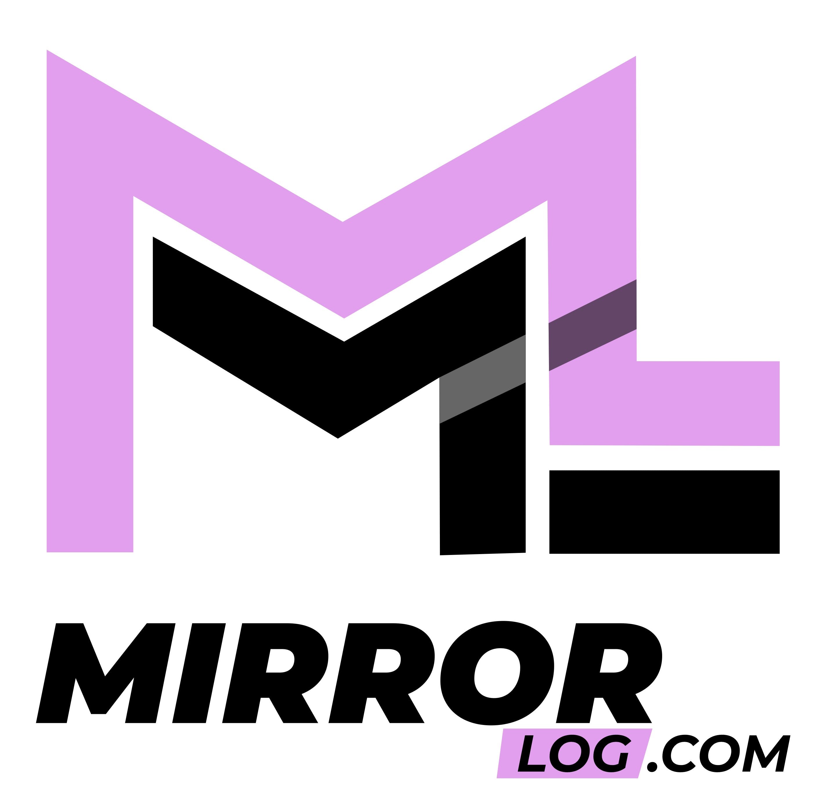 MirrorLog media 1