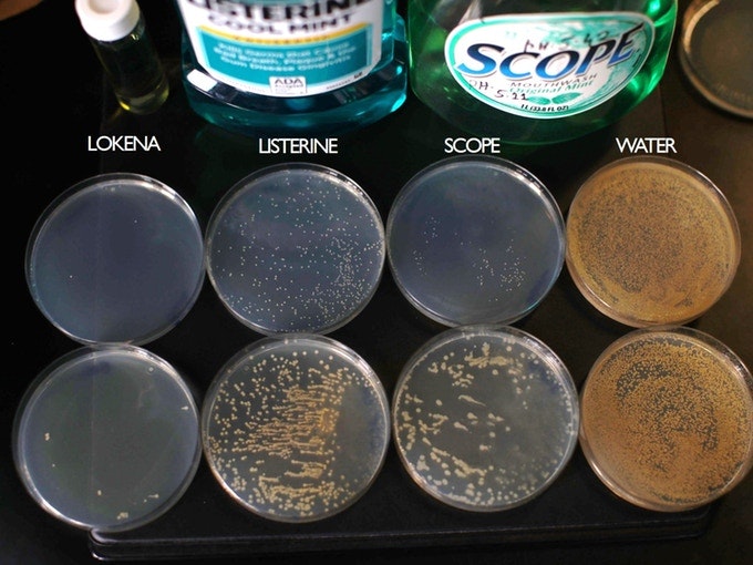 Lokena gallery image