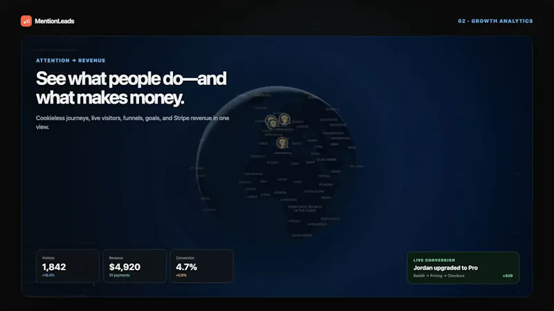 MentionLeads screenshot 1 (video preview)