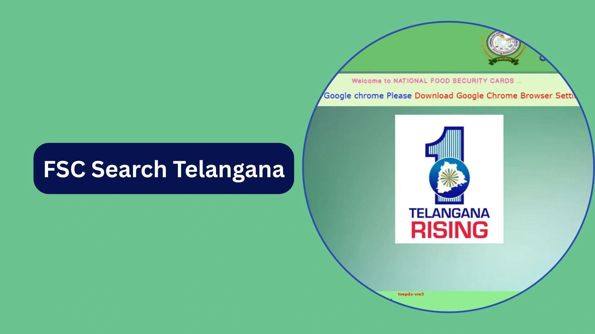 fscsearchtsin.com - Main product screenshot demonstrating key features and user interface