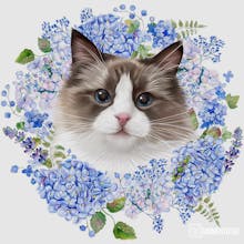 Custom Pet Portrait Women T-shirt gallery image