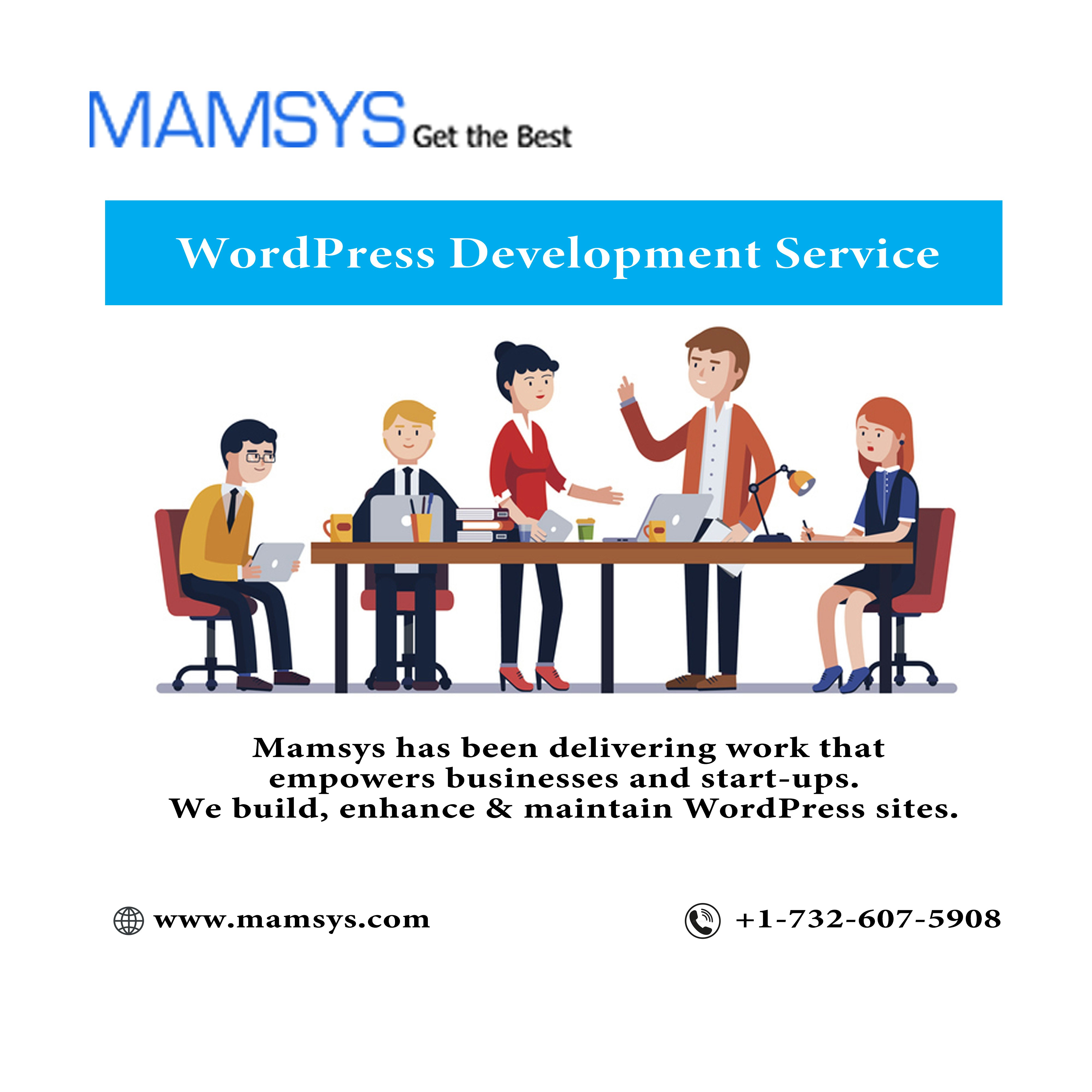 Soluciones de WordPress - Construir productos de software para el pensamiento de negocios transformadores media 1