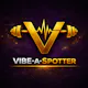 VibeASpotter
