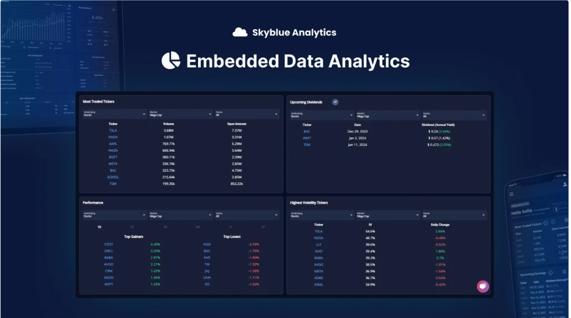 Skyblue Analytics Investment Platform media 4