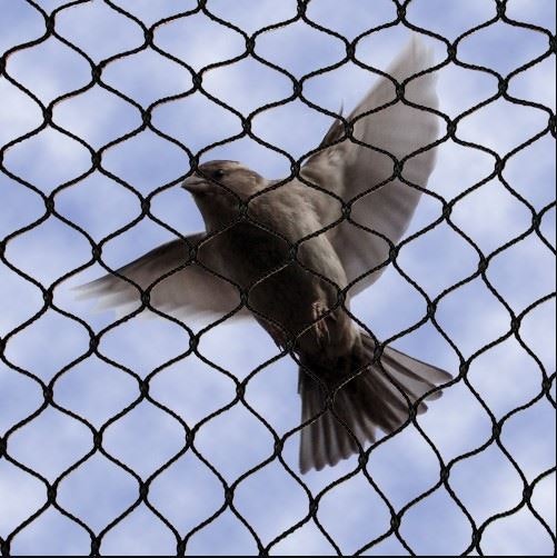 Pigeon Deterrent Ultrasonic gallery image