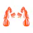 Muscl