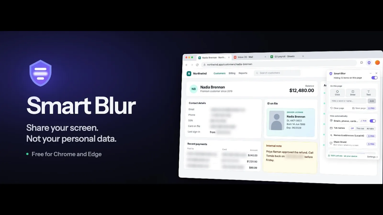 Smart Blur screenshot 1 (video preview)