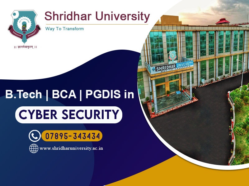 Cyber Security & ethical hacking 