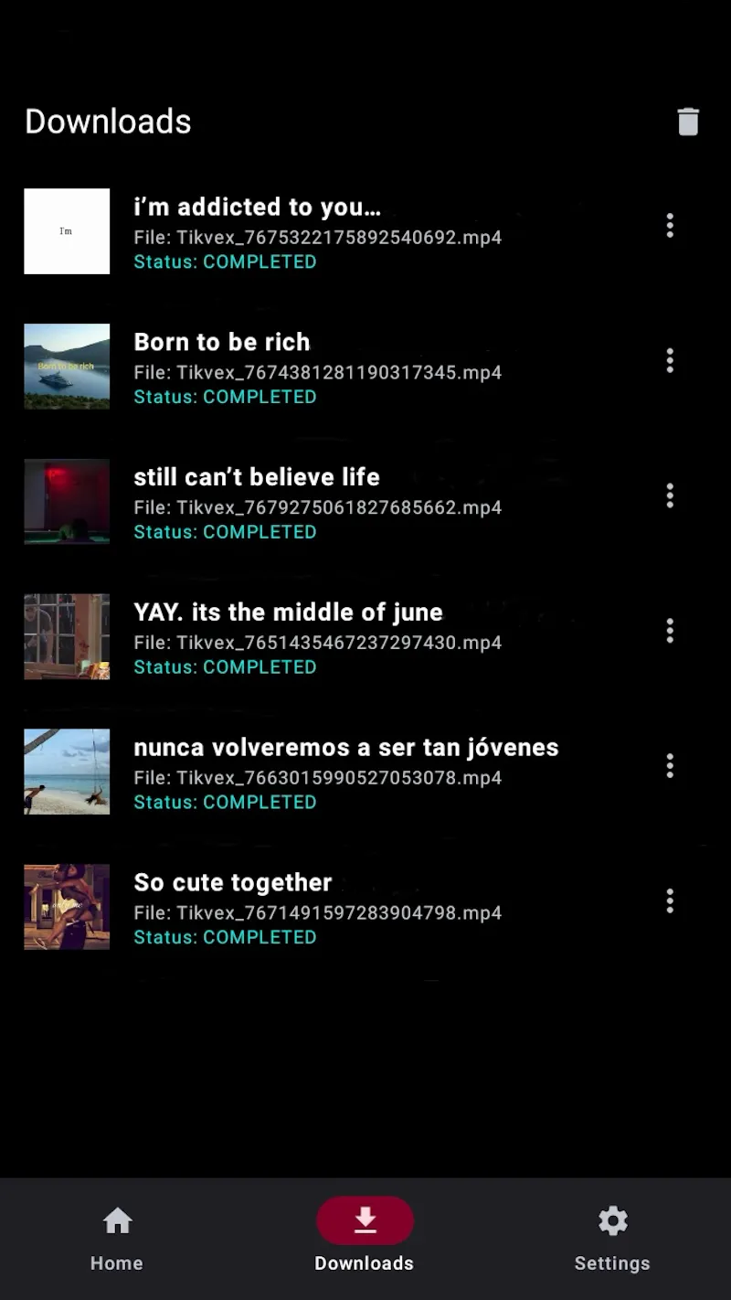 Tikvex downloader  screenshot 3