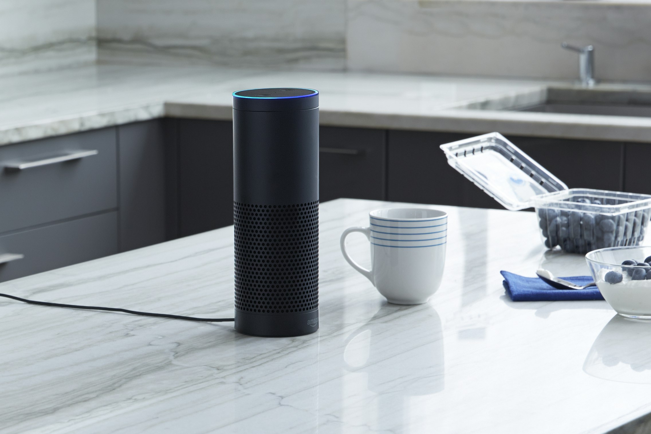 Informed Voter for Alexa gallery image