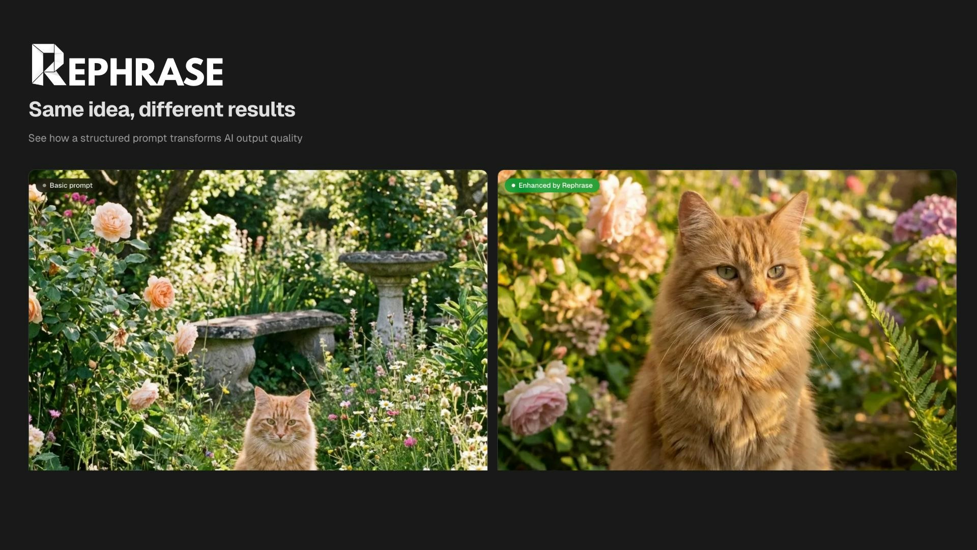 Rephrase gallery image