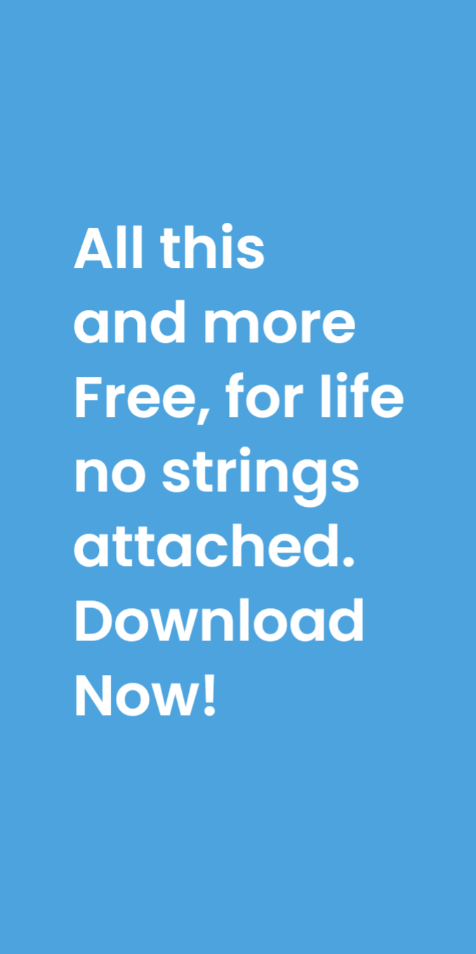 Lively gallery image