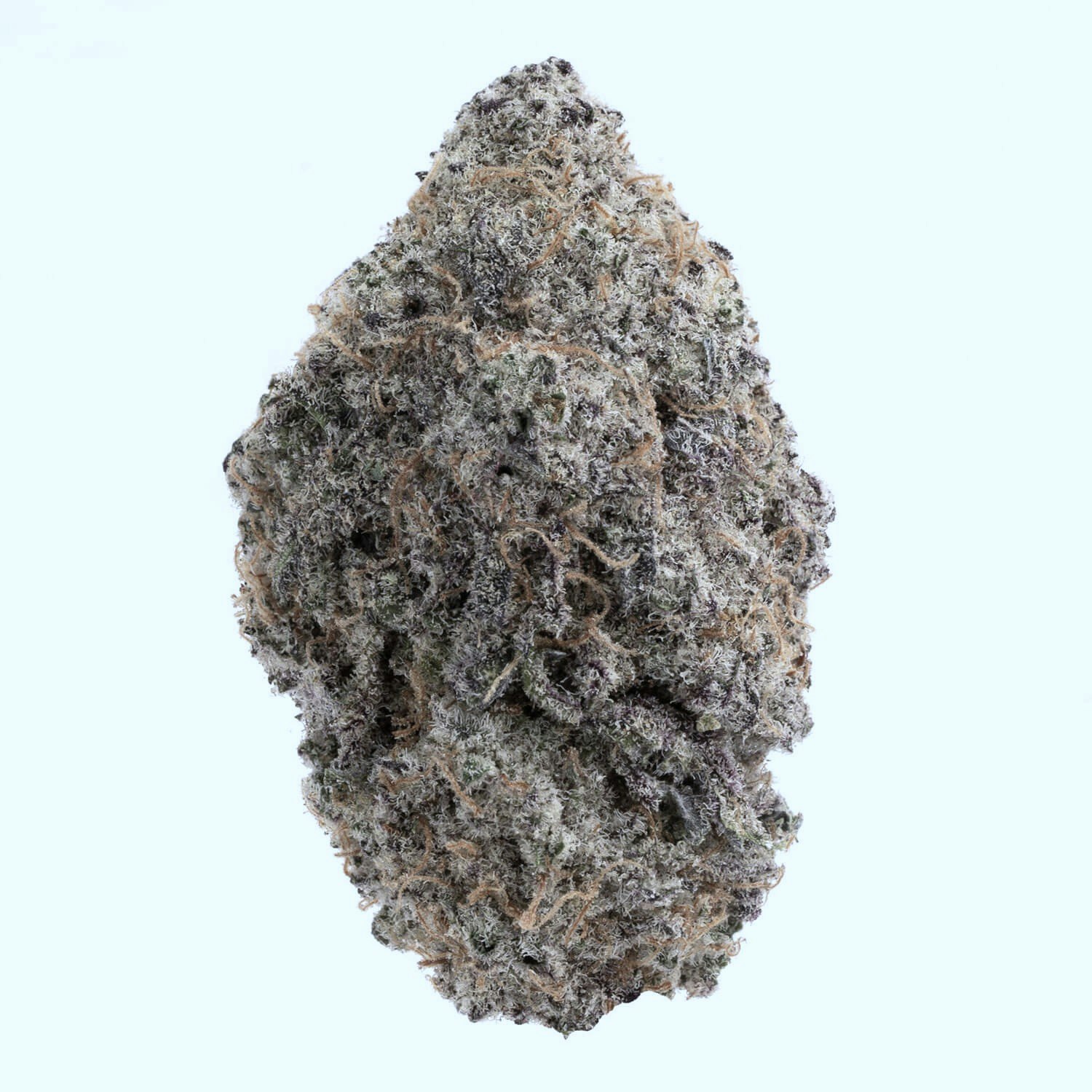 Grey Goose Strain gallery image