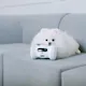 Varram Pet Robot