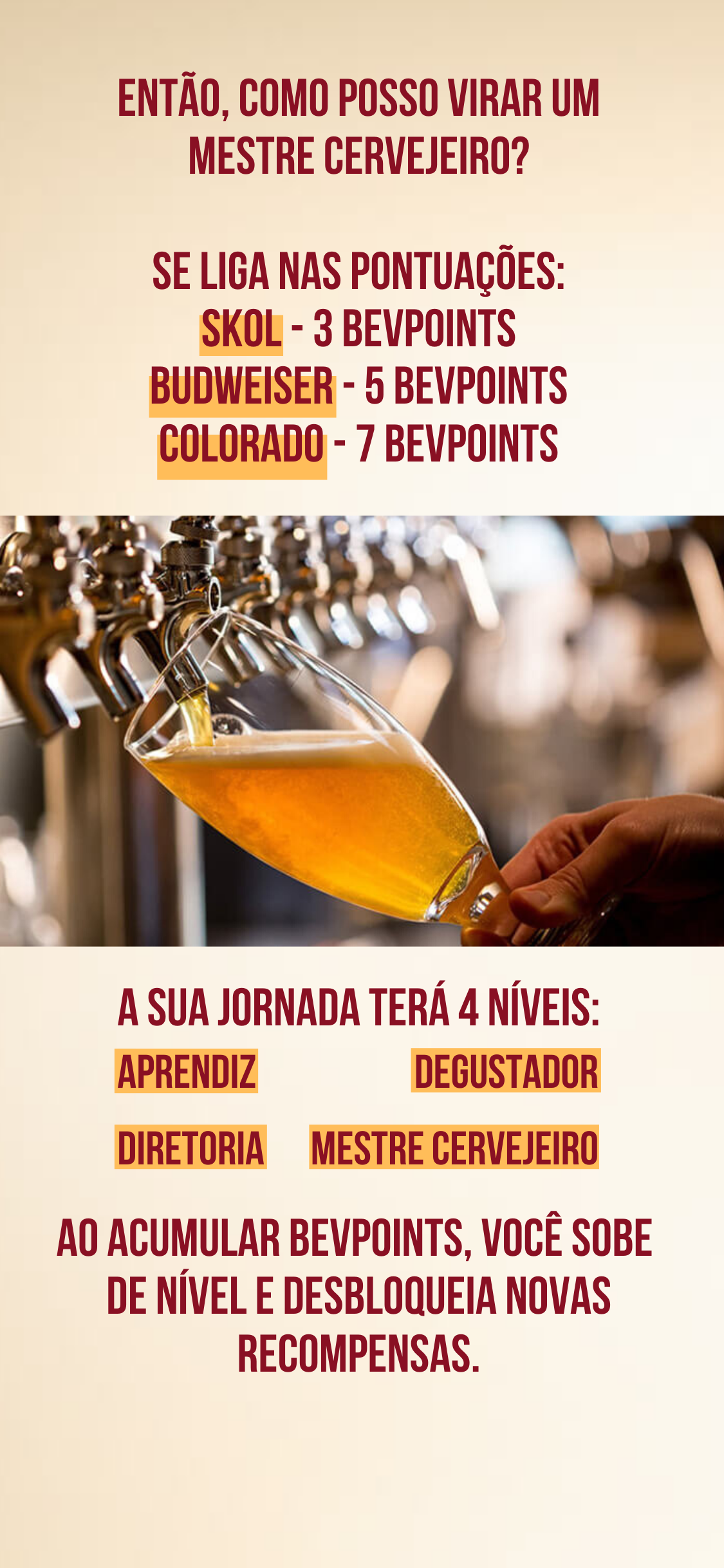 BevPoints - Ambev gallery image