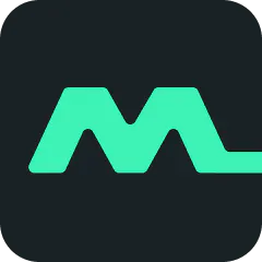 Mailtwig