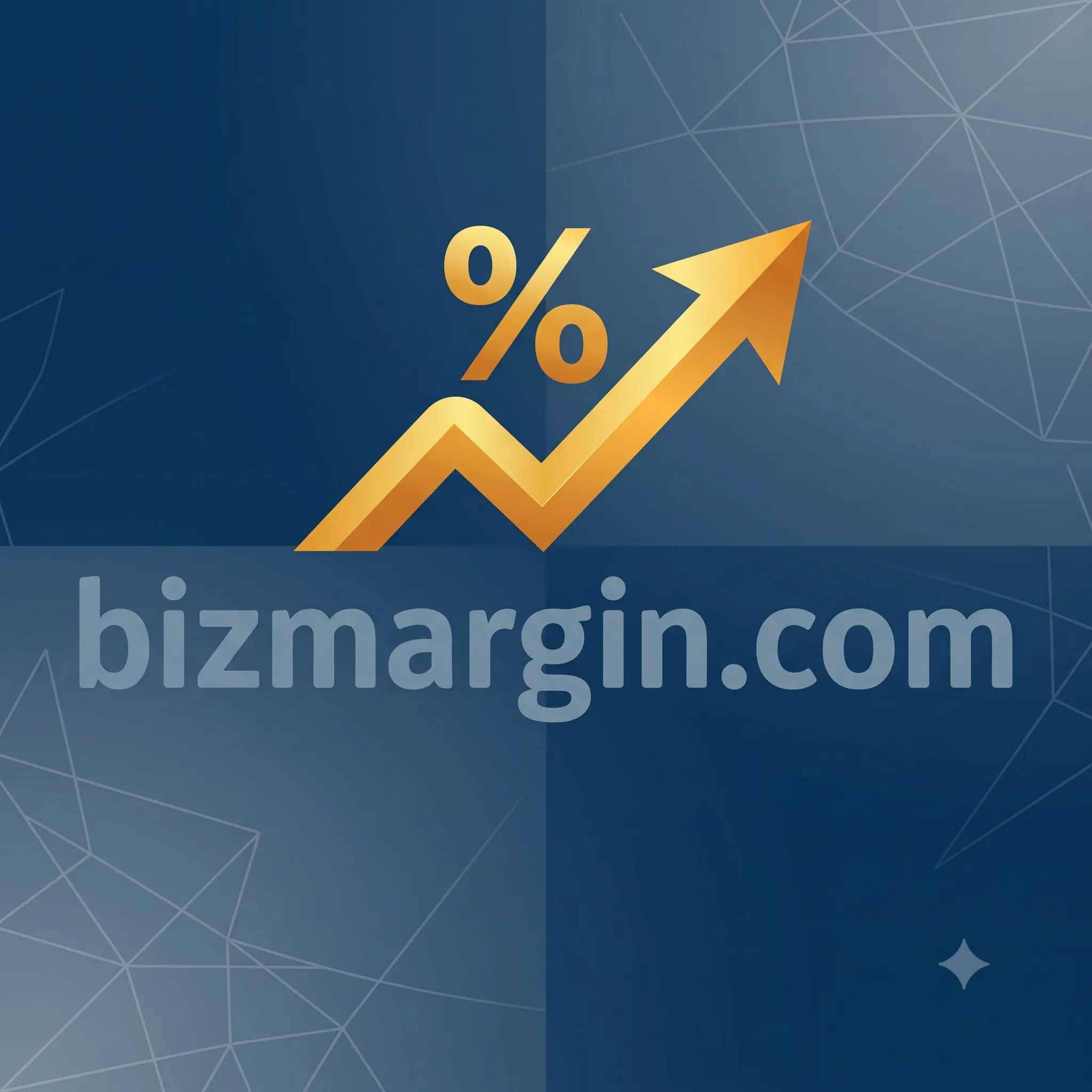 BizMargin