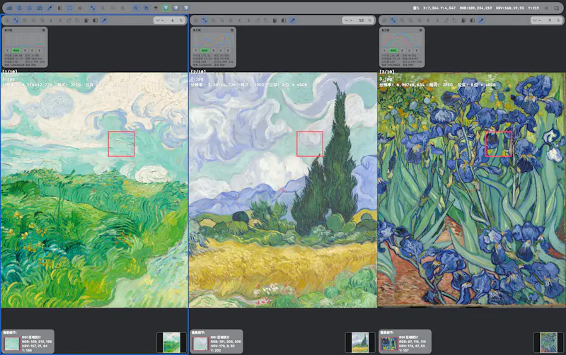 Domino Image Viewer screenshot 8