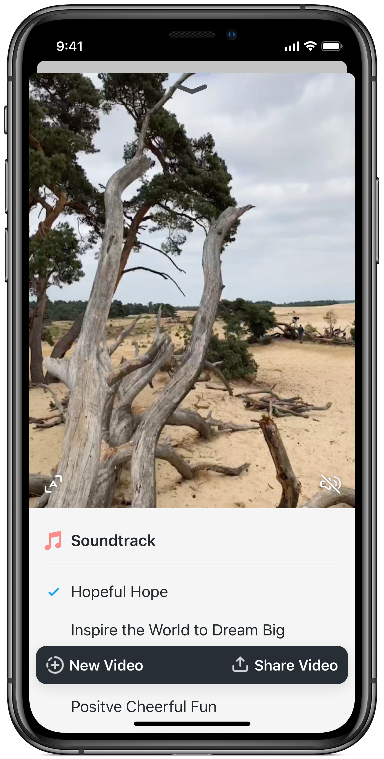 Vibe Camera gallery image