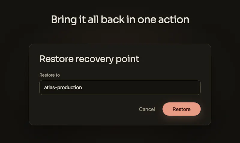 ReviveDB screenshot 4
