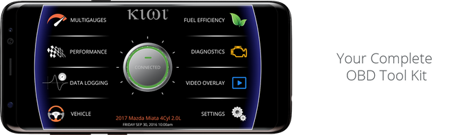 Kiwi 4 gallery image