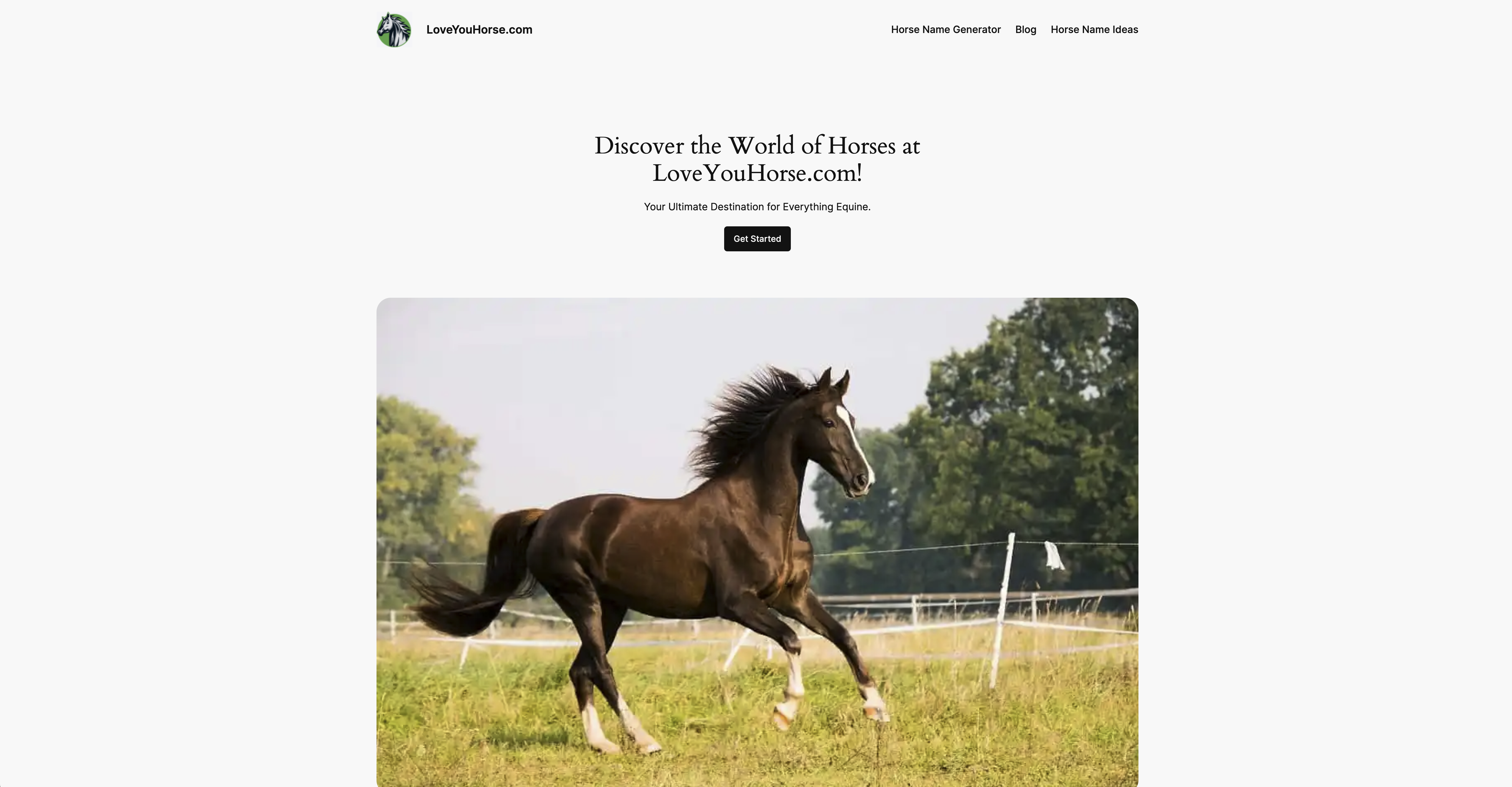 Hou van je paarden.com - Alles paarden paarden in één vertrouwde bron media 1