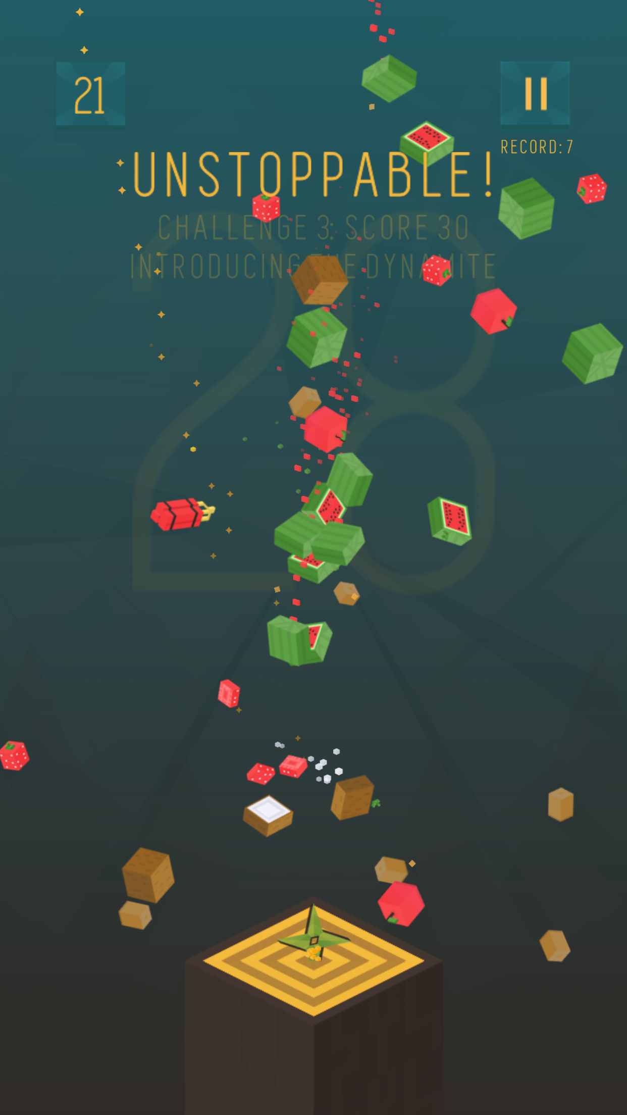 Knife Fruit Challenge gallery image