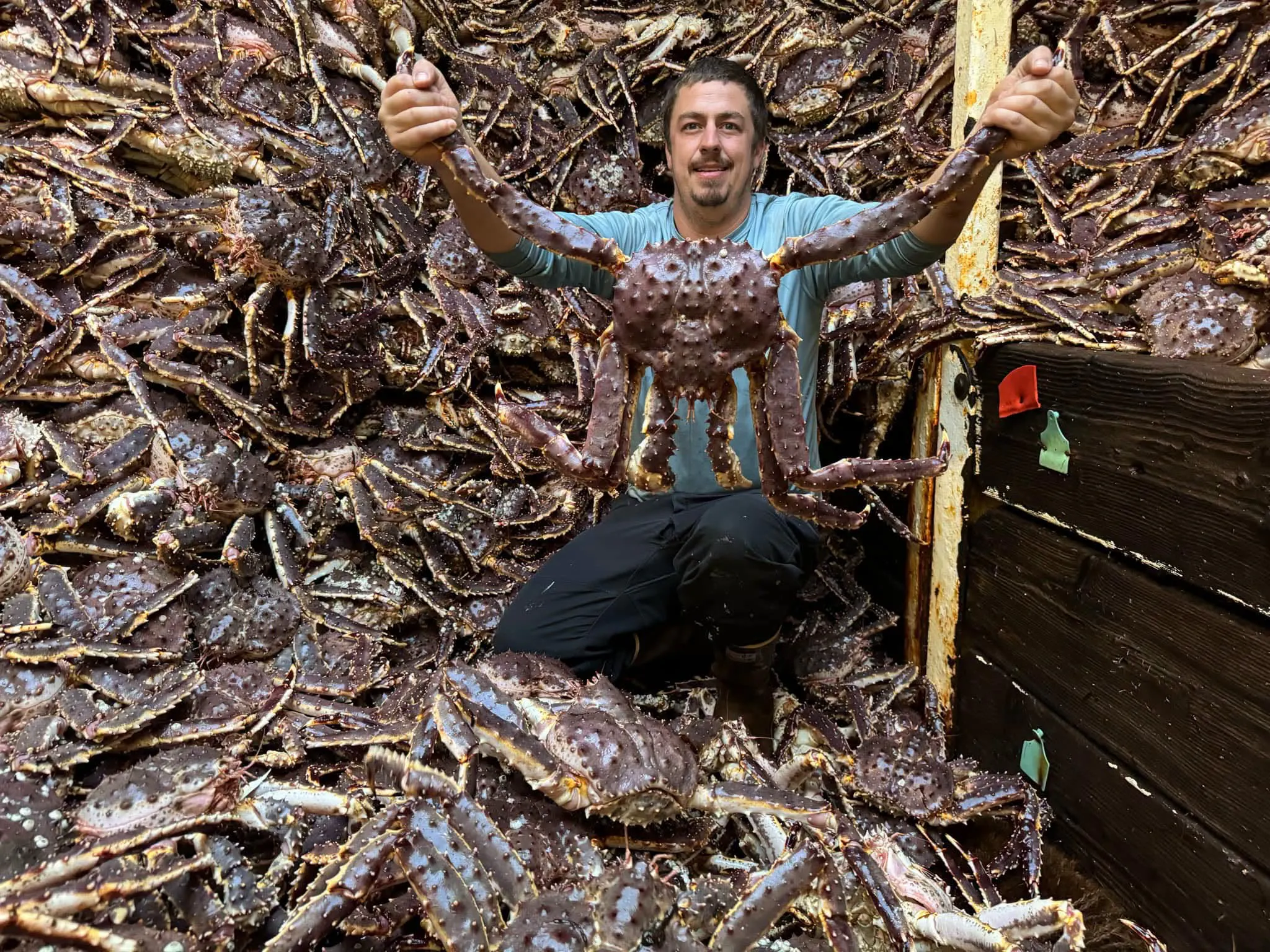 King Crab Premium Red King Crab Supplier gallery image