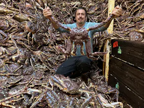 King Crab Premium Red King Crab Supplier gallery image