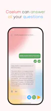 Caelum - Local AI for everyone gallery image