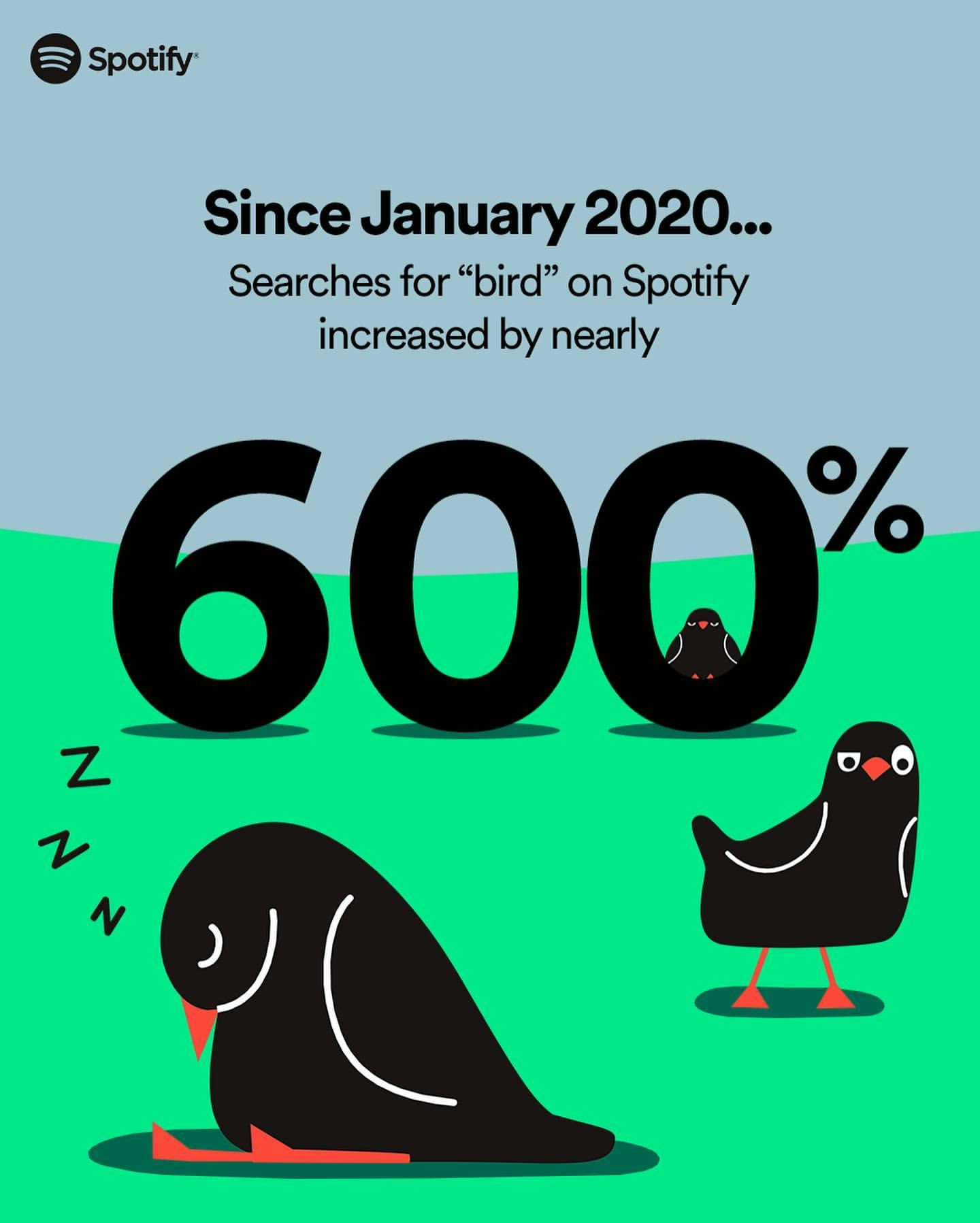 Pet Playlists by Spotify gallery image