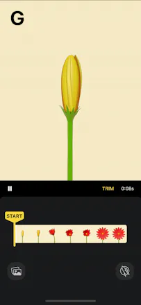 Start Here by Tinrocket gallery image