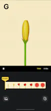 Start Here by Tinrocket gallery image