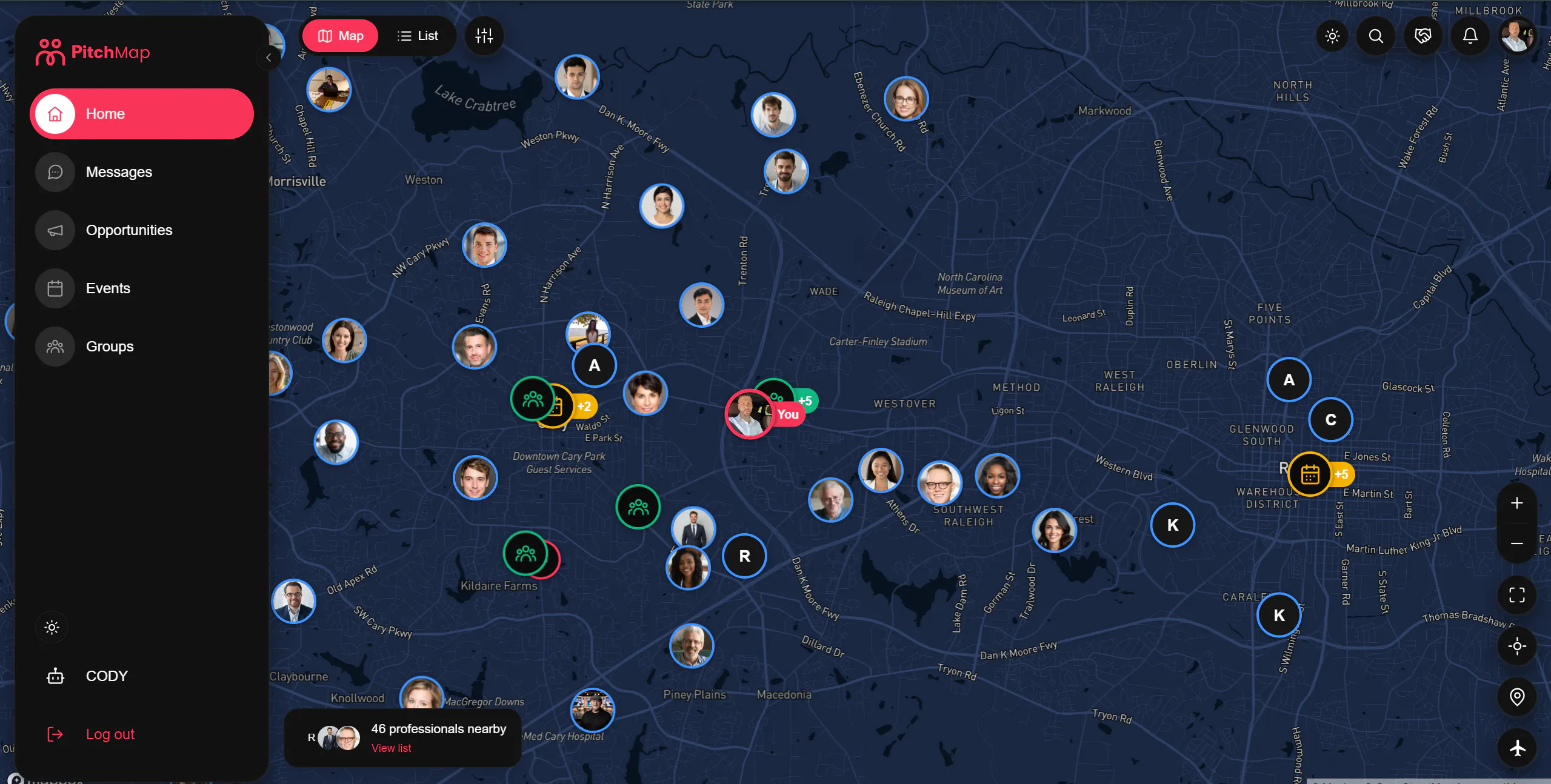 PitchMap.app gallery image