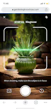 Plant identification and diagnosis gallery image