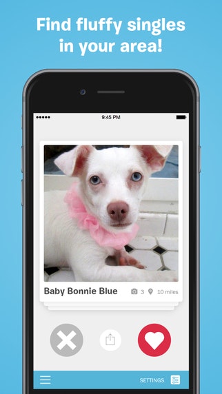 BarkBuddy gallery image