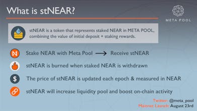 Meta Pool gallery image